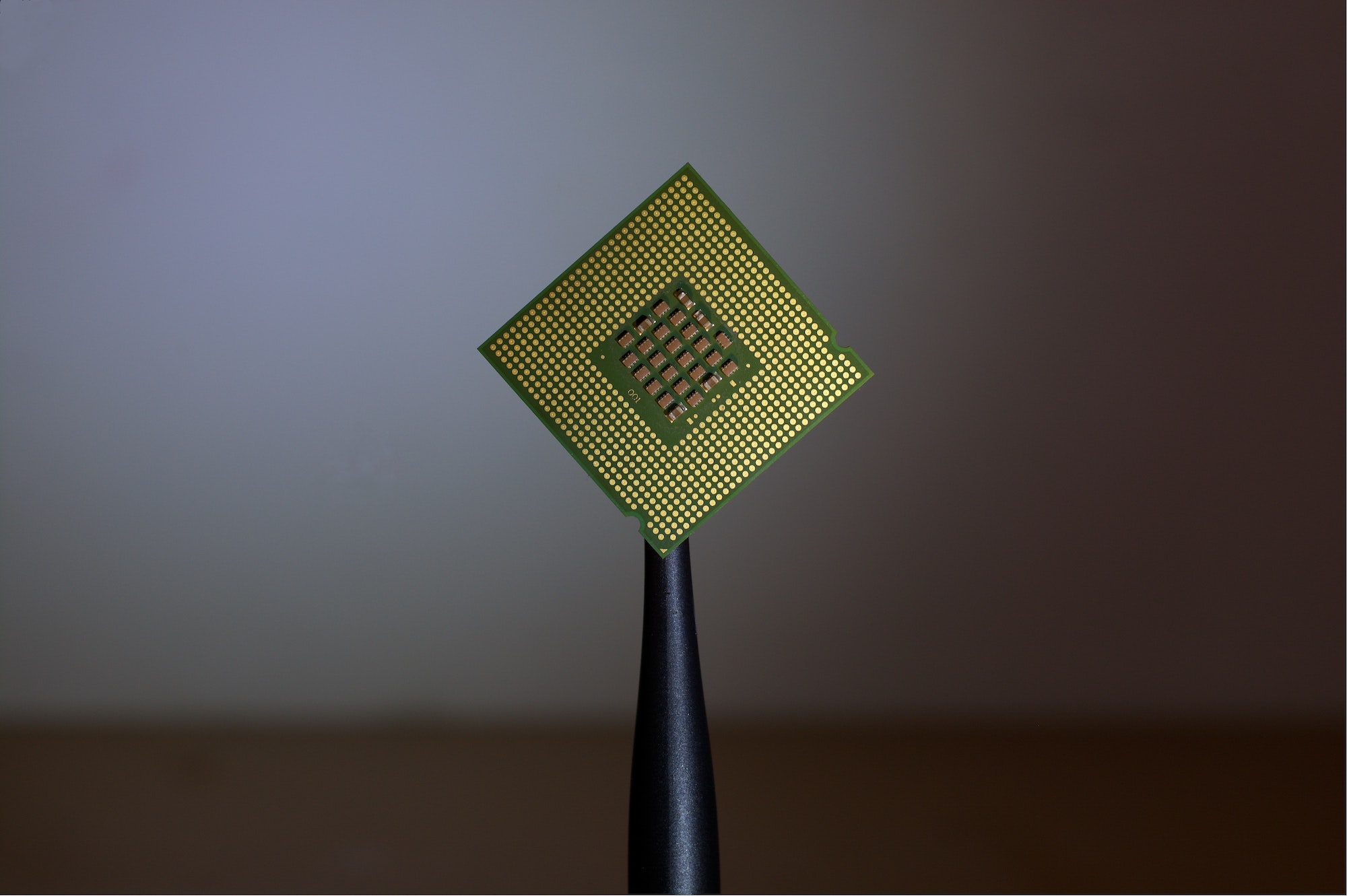 A green and gold computer chip is help up in the air by a black stick