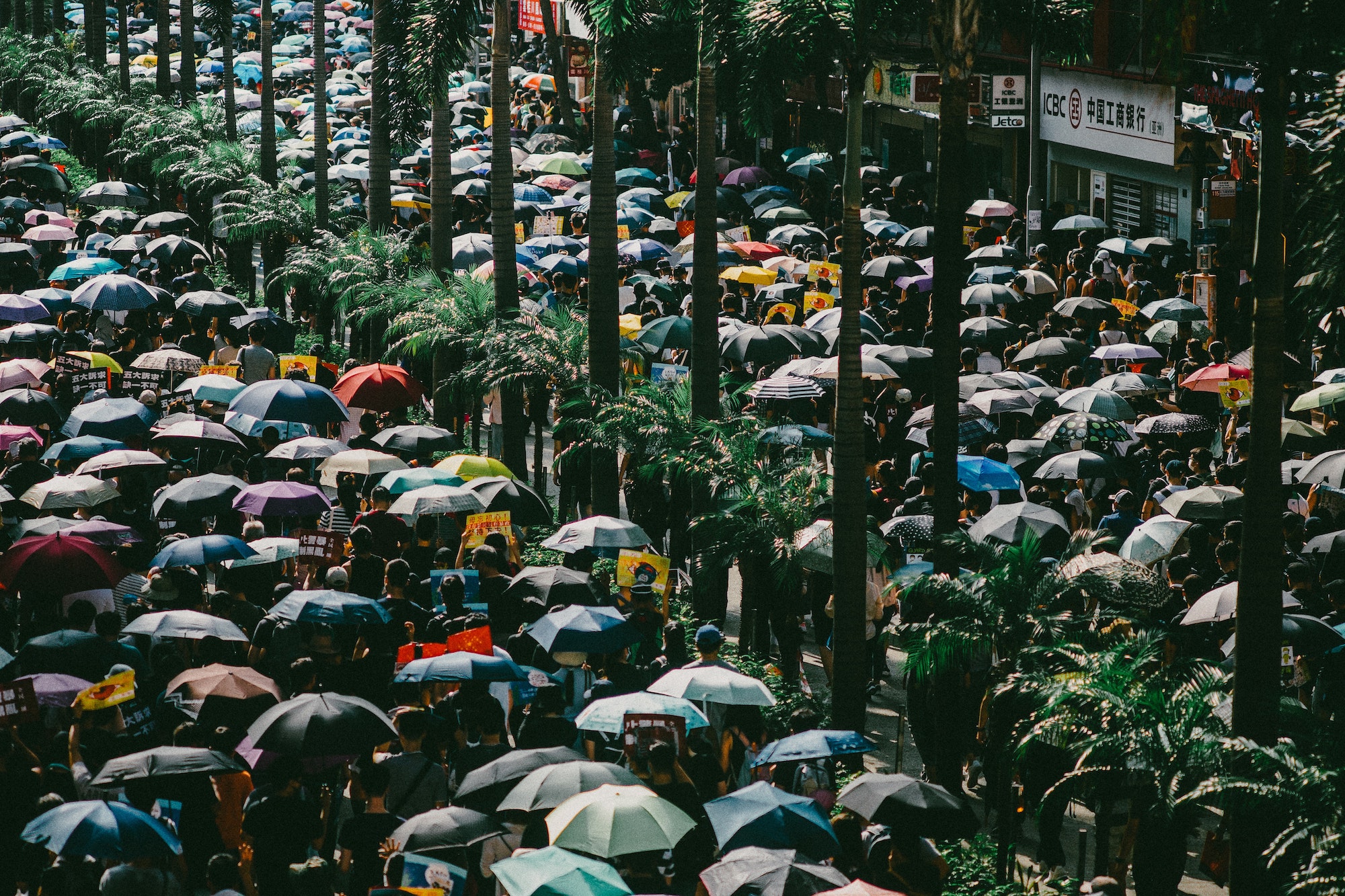 A Hong Kong street is filled with protestors holding umbrellas