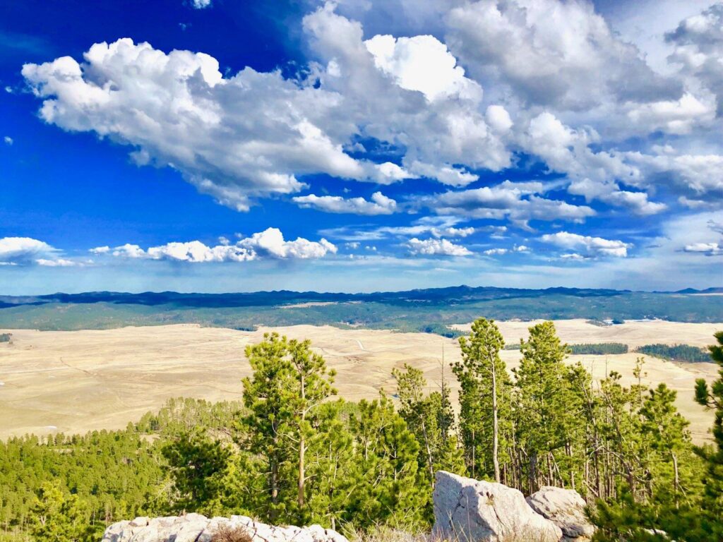 2,000 sacred acres in the Black Hills of South Dakota is now protected thanks to an intertribal effort (Photo courtesy of the Pe’ Sla)