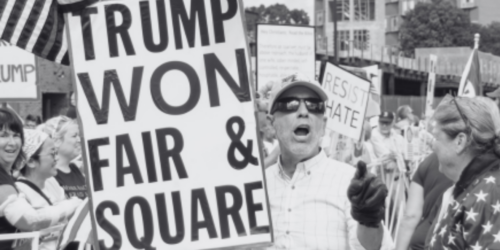 A man holding a protest sign advocating that Trump won the election.