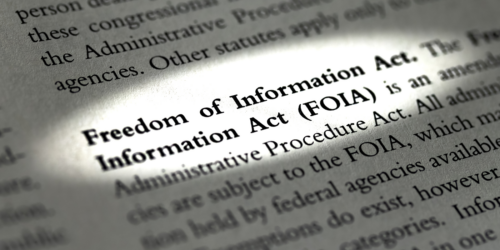 Freedom of Information Act in a dictionary